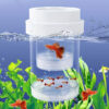 Premium PVC Fish Hatchery Starter Kit - Rectangle Aquarium Breeding Cage for Safe Fry Isolation, Ideal for Tropical Fish & Aquatic Plants - Image 6