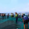 25m Long 3m High Large Fishing Net - Durable Nylon Mesh for Catching Fish, Ideal for Ponds & Lakes, Easy-to-Use with Rods, 1pc, Perfect for Father'S Day & Labor Day Outdoor Activities, Lake Decoration|Fishing Net|Durable Nylon Mes - Image 8