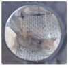 [:en]1pc Winter Style Cat House, Heightened Rainproof And Cold-proof Outdoor Warm Dog Nest, Four Seasons Waterproof Windproof Thickened Cat Shelter[:ar]1pc Winter Style Cat House, Heightened Rainproof And Cold-proof Outdoor Warm Dog Nest, Four Seasons Waterproof Windproof Thickened Cat Shelter[:] - Image 24