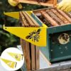 2 Bee Frame Brackets, Yellow Stainless Steel Honeycomb Frame, Honeycomb Inspection Bracket, Beekeeping Supplies for Honey Harvesting and Inspection, Honeycomb Box Starter Kit, Beekeeping Supplies | Modern Beekeeping | Durable Beehive Frame, Beekeeping Equ - Image 5