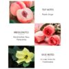 Elegant Ballet Dancer Eau De Parfum for Women, 1.7fl. oz - Long-Lasting Floral & Fruity Fragrance,, Pink with Golden Cap & Textured Base, Ideal Gift in Chic Gift Box - Image 12