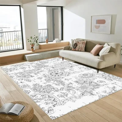 Diatom Ooze Area Rugs Factory Wholesale 3d Carpet Living Room Modern Large Living Room Carpets Zone Mat Floor Carpet Tapis