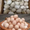 Chicken Duck Goose Egg Cleaner Machine Poultry Farm Equipment Electric Egg Washing Machine - Image 6