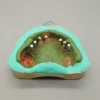 1 Set Full Denture Fixed Implant Plaster Modeling Tray Full Denture Mold Base Dental Plaster Model Making Mold Box 1 Pair - Image 24