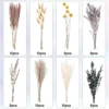 Natural Fluffy Pampas Grass Bouquet Dried Pampas Grass Flowers Wedding Supplies Accessories Home Farmhouse Room Decor Floral - Image 6