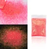 10g Holographic Glitter For Epoxy Resin Filling Laser Gold Silver Fine Powder Loose Sequins Silicone Mold Tumbler Art DIY Crafts - Image 12