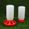 [:en]Poultry Thickened Feeder And Drinker Water Food Dispenser Automatic Chicken Birds Chick Waterer Feeding Bucket Container[:ar]Poultry Thickened Feeder And Drinker Water Food Dispenser Automatic Chicken Birds Chick Waterer Feeding Bucket Container[:] - Image 2