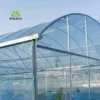 Heavy-Duty Single-Bay Tunnel Greenhouse for – Cost-Effective, Expandable Greenhouse for Commercial Farming - Image 4