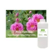 [:en]Rose Hydrosol，Skin Whitening，Moisturize, Lighten and Soothe Pores Cosmetic Raw Material[:ar]Rose Hydrosol，Skin Whitening，Moisturize, Lighten and Soothe Pores Cosmetic Raw Material[:] - Image 3