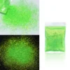 10g Holographic Glitter For Epoxy Resin Filling Laser Gold Silver Fine Powder Loose Sequins Silicone Mold Tumbler Art DIY Crafts - Image 59