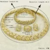 Fashion Bridal Dubai Gold Color Jewelry Sets for Women Costume Necklace Earrings Nigerian Wedding African Jewellery Set - Image 6