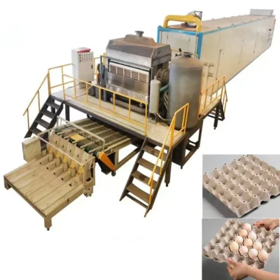 Fully Automatic New Cheap Price Waste Paper Recycling Egg Carton Box Egg Tray Making Machine