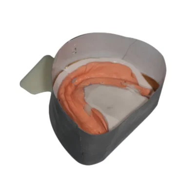 1 Set Full Denture Fixed Implant Plaster Modeling Tray Full Denture Mold Base Dental Plaster Model Making Mold Box 1 Pair
