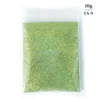 10g Holographic Glitter For Epoxy Resin Filling Laser Gold Silver Fine Powder Loose Sequins Silicone Mold Tumbler Art DIY Crafts - Image 34