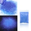 10g Holographic Glitter For Epoxy Resin Filling Laser Gold Silver Fine Powder Loose Sequins Silicone Mold Tumbler Art DIY Crafts - Image 61