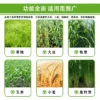 Forage harvester Agricultural small self-propelled corn straw silage grass alfalfa disc crawler type - Image 4