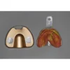 1 Set Full Denture Fixed Implant Plaster Modeling Tray Full Denture Mold Base Dental Plaster Model Making Mold Box 1 Pair - Image 5