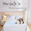 Washable Underpad Waterproof Incontinence Bed Pads 50x70cm/70x110/110x150cm/160x230cm/200x230/230x250cm/ for Women & Dog & Baby - Image 14