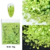 10g Holographic Glitter For Epoxy Resin Filling Laser Gold Silver Fine Powder Loose Sequins Silicone Mold Tumbler Art DIY Crafts - Image 53
