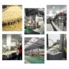 Fully Automatic Industrial Fresh Potato Chips Production Line Frozen French Fries Making Machine - Image 6