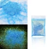 10g Holographic Glitter For Epoxy Resin Filling Laser Gold Silver Fine Powder Loose Sequins Silicone Mold Tumbler Art DIY Crafts - Image 13