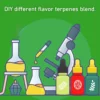 [:en]10-30ml Natural Terpenes essence oil raw flavor material to DIY different items for our body or skin or healthy[:ar]10-30ml Natural Terpenes essence oil raw flavor material to DIY different items for our body or skin or healthy[:] - Image 4