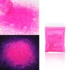 10g Holographic Glitter For Epoxy Resin Filling Laser Gold Silver Fine Powder Loose Sequins Silicone Mold Tumbler Art DIY Crafts - Image 10