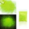 10g Holographic Glitter For Epoxy Resin Filling Laser Gold Silver Fine Powder Loose Sequins Silicone Mold Tumbler Art DIY Crafts - Image 8
