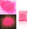 10g Holographic Glitter For Epoxy Resin Filling Laser Gold Silver Fine Powder Loose Sequins Silicone Mold Tumbler Art DIY Crafts - Image 11