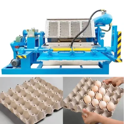 Small Business Waste Paper Recycling Egg Carton Box Egg Tray Making Machine Energy Carton Making Machine Factory for EU