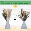 Natural Fluffy Pampas Grass Bouquet Dried Pampas Grass Flowers Wedding Supplies Accessories Home Farmhouse Room Decor Floral - Image 4