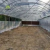 Heavy-Duty Single-Bay Tunnel Greenhouse for – Cost-Effective, Expandable Greenhouse for Commercial Farming - Image 5