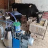 [:en]YYHC-  Piston Milking Machine 25 L Vacuum Pump High Configuration Single Barrel Configuration Cattle and Sheep Milking Machi[:ar]YYHC-  Piston Milking Machine 25 L Vacuum Pump High Configuration Single Barrel Configuration Cattle and Sheep Milking Machi[:] - Image 2