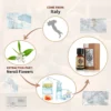 Natural Oiliness Cosmetics Candle Soap Scents Making DIY Odorant Raw Material Neroli Flower fragrance Oil - Image 2