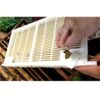 1 Set New Italian Bee Graft-Free Queen Rearing Kit, Beekeeping Queen Breeding System, Bee Breeding and Royal Jelly Collector, Queen Cage, Royal Jelly Production, Beekeeping Tools and Equipment - Image 2