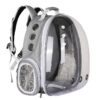 [:en]1pc Transparent Cat Backpack - Breathable Durable PC Material, Small Pet Carrier for Lizards, Rabbits, Hedgehogs, Parrots, Squirrels & More, Portable Travel Bag with Zipper Closure and Dual-Back Design for Safe Transport and Outings[:ar]1pc Transparent Cat Backpack - Breathable Durable PC Material, Small Pet Carrier for Lizards, Rabbits, Hedgehogs, Parrots, Squirrels & More, Portable Travel Bag with Zipper Closure and Dual-Back Design for Safe Transport and Outings[:] - Image 2