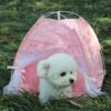 [:en]Outdoor Pet Tent House for Cats and Small Dogs, Pink Polyester Fiber Portable Shelter with Mesh Windows and Bow Details[:ar]Outdoor Pet Tent House for Cats and Small Dogs, Pink Polyester Fiber Portable Shelter with Mesh Windows and Bow Details[:] - Image 7
