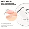 Snail Mucin Soothing Serum 3.38 Fl.Oz/100ml, Aging Resisting Face Serum For Dull Skin, Hydrating, Firming, Repairing, Sensitive Skin, Korean Skincare - Image 6