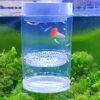 Premium PVC Fish Hatchery Starter Kit - Rectangle Aquarium Breeding Cage for Safe Fry Isolation, Ideal for Tropical Fish & Aquatic Plants - Image 2