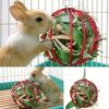 [:en]Small Pet Round Feeding Dispenser - for Rabbits, Hamsters, Mice, Guinea Pigs - Wire Design, No Batteries Needed, Suitable for Home and Pet Use[:ar]Small Pet Round Feeding Dispenser - for Rabbits, Hamsters, Mice, Guinea Pigs - Wire Design, No Batteries Needed, Suitable for Home and Pet Use[:] - Image 2