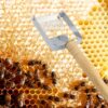 1pc Heavy-Duty Stainless Steel Beekeeping Tool - Professional Honey Uncapping Fork with Sharp Slanted Teeth & Ergonomic Handle for Efficient Honeycomb, Wax Removal - Compatible with European & American Honey Frames - Beekeeping Equipment for Hobbyists & C - Image 5