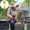 1pc Stainless Steel Beekeeping Fork with Honeycomb Frame - Durable, No Battery Needed, Perfect for Harvesting Honey, Beekeeping Essentials|Stainless Steel Construction|Durable Beekeeping Tool, Beekeeping Supplies - Image 4