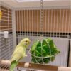 [:en]Small Pet Round Feeding Dispenser - for Rabbits, Hamsters, Mice, Guinea Pigs - Wire Design, No Batteries Needed, Suitable for Home and Pet Use[:ar]Small Pet Round Feeding Dispenser - for Rabbits, Hamsters, Mice, Guinea Pigs - Wire Design, No Batteries Needed, Suitable for Home and Pet Use[:] - Image 6