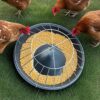 Multi-Compartment Feeder: 5 Independent Sections with 10cm Width for Orderly Chicken Eating, Reducing Trampling and Waste by 30% – Poultry Farming Equipment (BBB1, A2, WWW-03) - Image 5