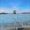 Multi-Purpose Agricultural Greenhouse Cover | Light Blue Transparent Plastic | Waterproof & Frost Protection | Durable, Dust-Proof Sheeting for Vegetable Gardens and Lawn Care, Agricultural Cover | Garden Cover | Lightweight Sheeting, Greenhouse Accessori - Image 11