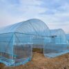 Multi-Purpose Agricultural Greenhouse Cover | Light Blue Transparent Plastic | Waterproof & Frost Protection | Durable, Dust-Proof Sheeting for Vegetable Gardens and Lawn Care, Agricultural Cover | Garden Cover | Lightweight Sheeting, Greenhouse Accessori - Image 5